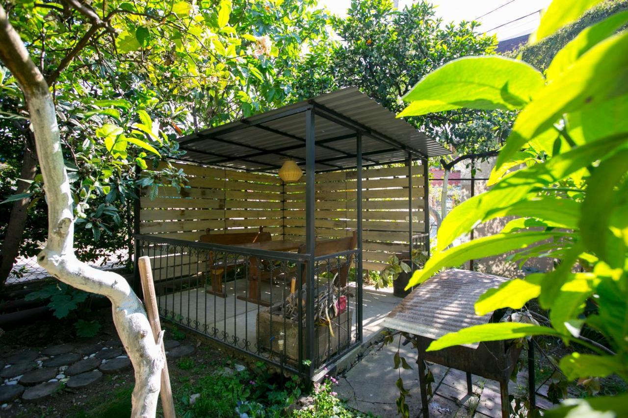 Guest House Lavr Гагра Екстериор снимка