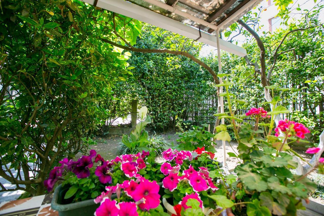 Guest House Lavr Гагра Екстериор снимка