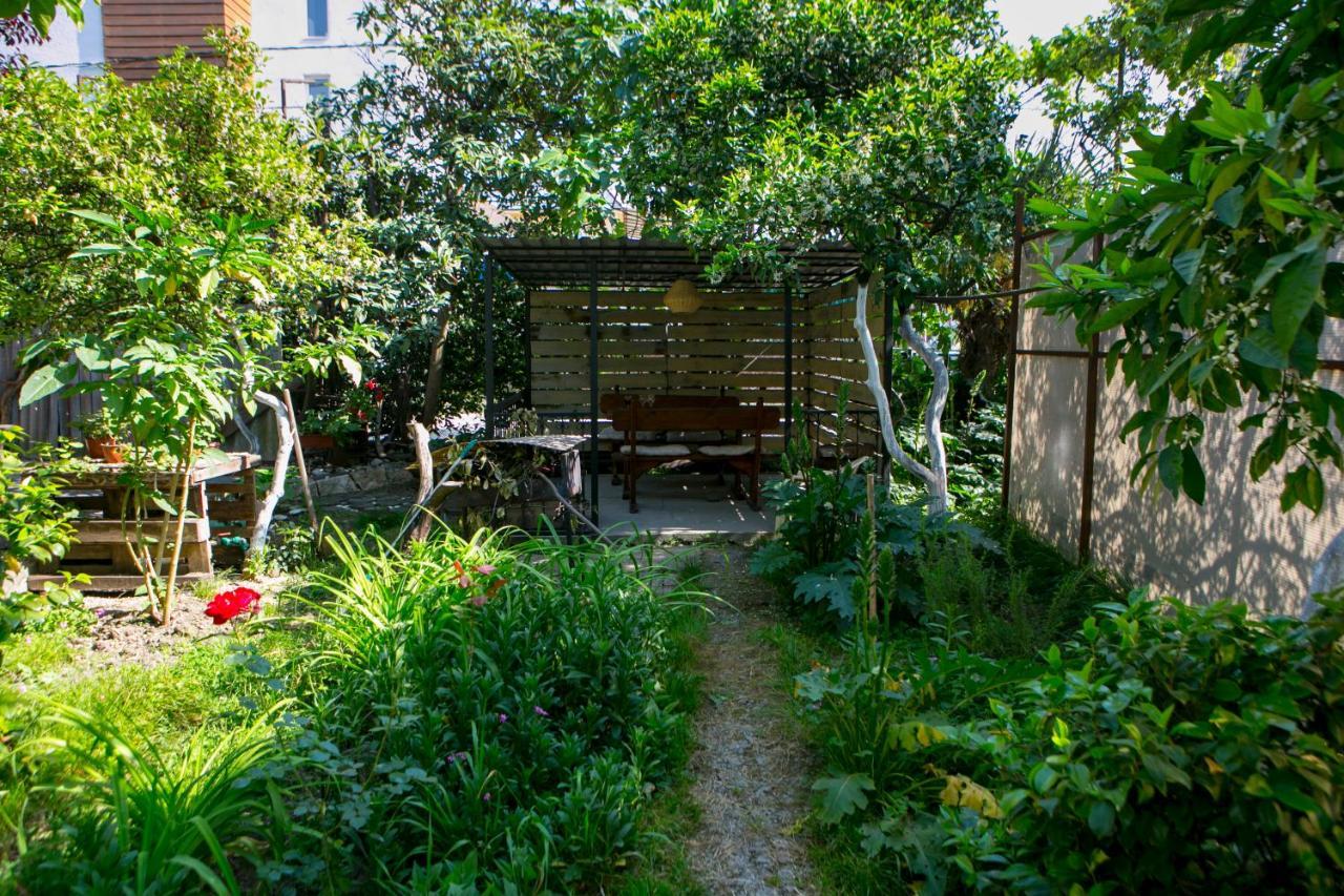 Guest House Lavr Гагра Екстериор снимка