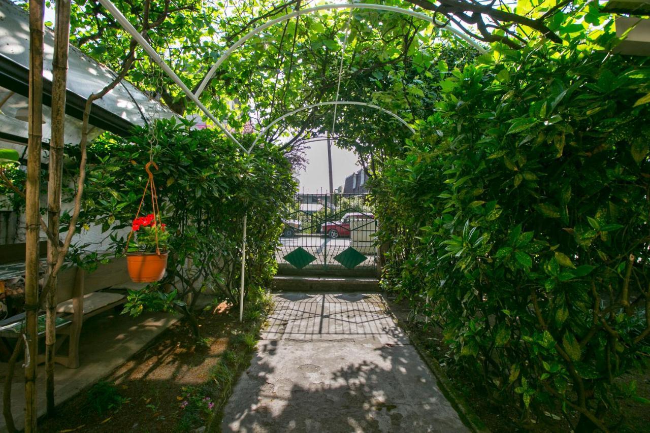 Guest House Lavr Гагра Екстериор снимка